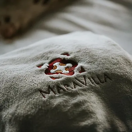 Maravilla Villa Nagymaros